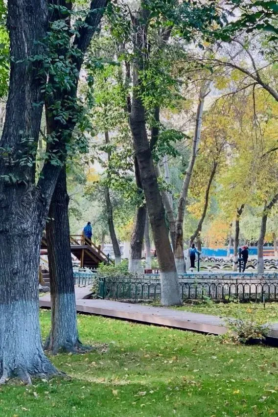 篮球训练时英语专业术语_2